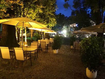 Chow Cute Cafe - Dog Cafes