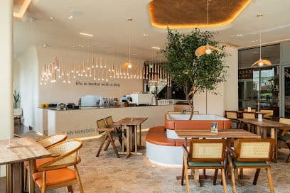 Plain Meredith - Dog Cafes