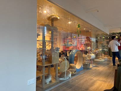 QQ Cats and Cafe - Groomers