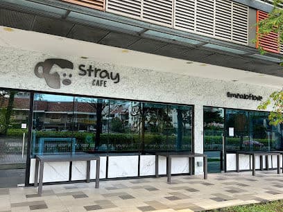 Stray Cafe - Dog Cafes